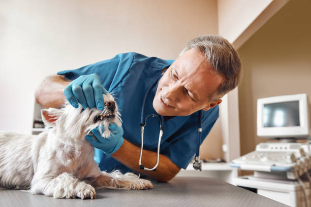 Best 24-Hour Emergency Dentist  in Natchitoches, LA
